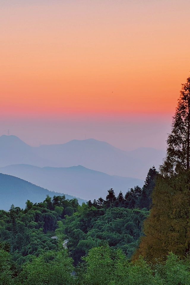 莫干山/莫干山的秋景，江浙滬深秋賞秋天花板！