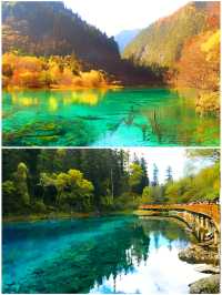 真實評價全曝光！四川旅遊有沒有絕妙景點|||