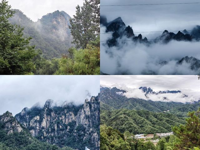 河南老界嶺/萬畝彩林太震撼了，一定要來感受這裡的秋色大餐！