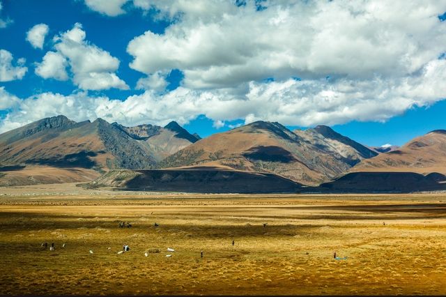 「絕美的西藏風光，為何吸引了全世界的目光？」