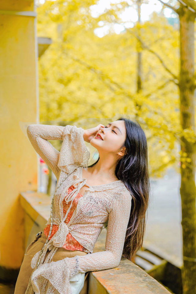 廣東最美秋天！一片金黃的韶關帽子峰美慘了