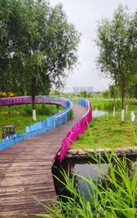 渭柳濕地公園——景色優美的網紅打卡地！