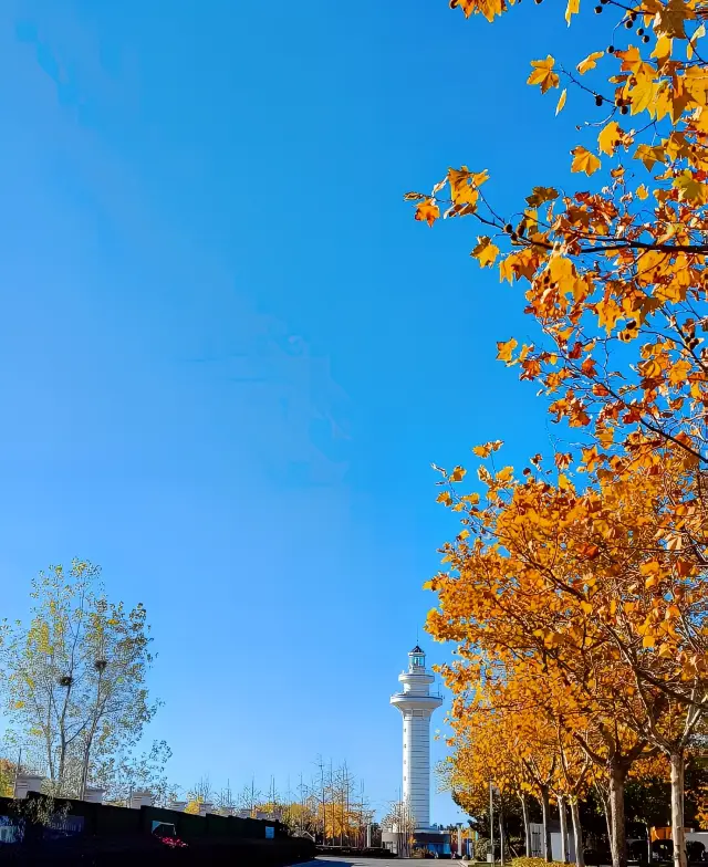 ไปดูทะเลกับเพื่อน