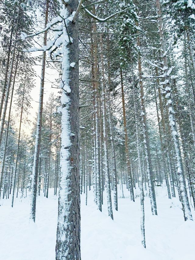 羅瓦涅米歐娜斯山滑雪中心