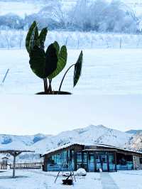 新疆只有0次和無數次，阿勒泰的雪景太愛了