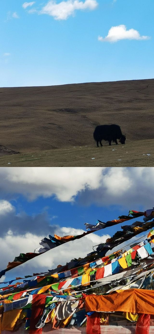 理塘三天兩夜旅遊攻略