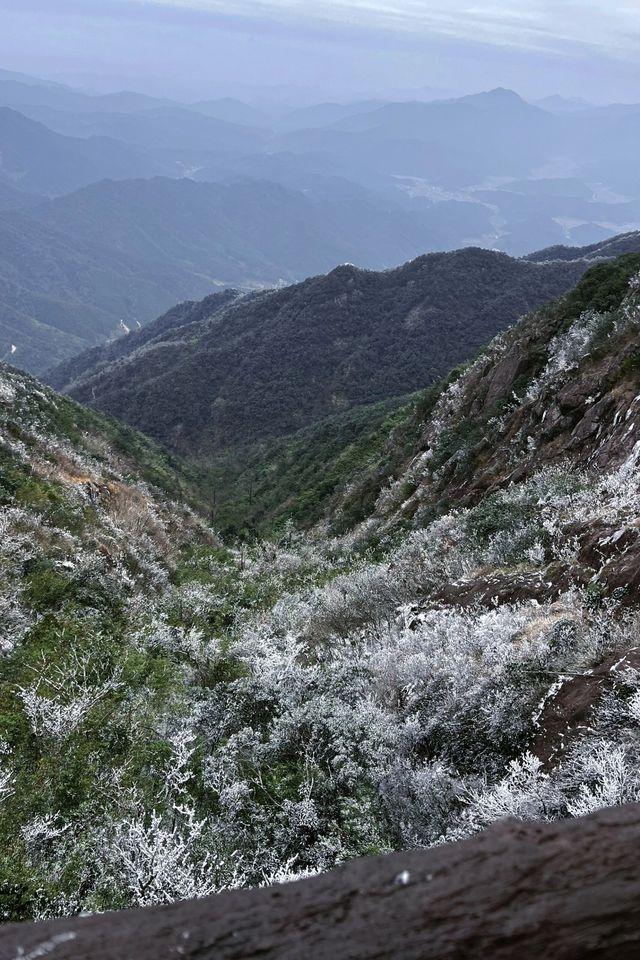 清遠連山金子山旅遊攻略|||清遠連山金子山旅遊