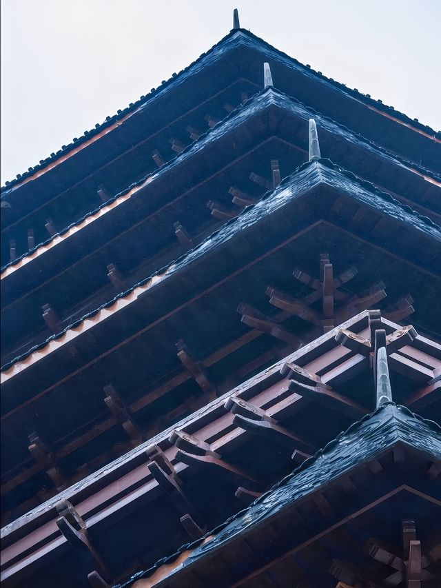 我見青山多妩媚，料青山見我應如是