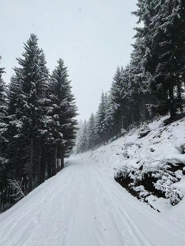 奧地利基茨比厄爾滑雪場：冬日樂園！