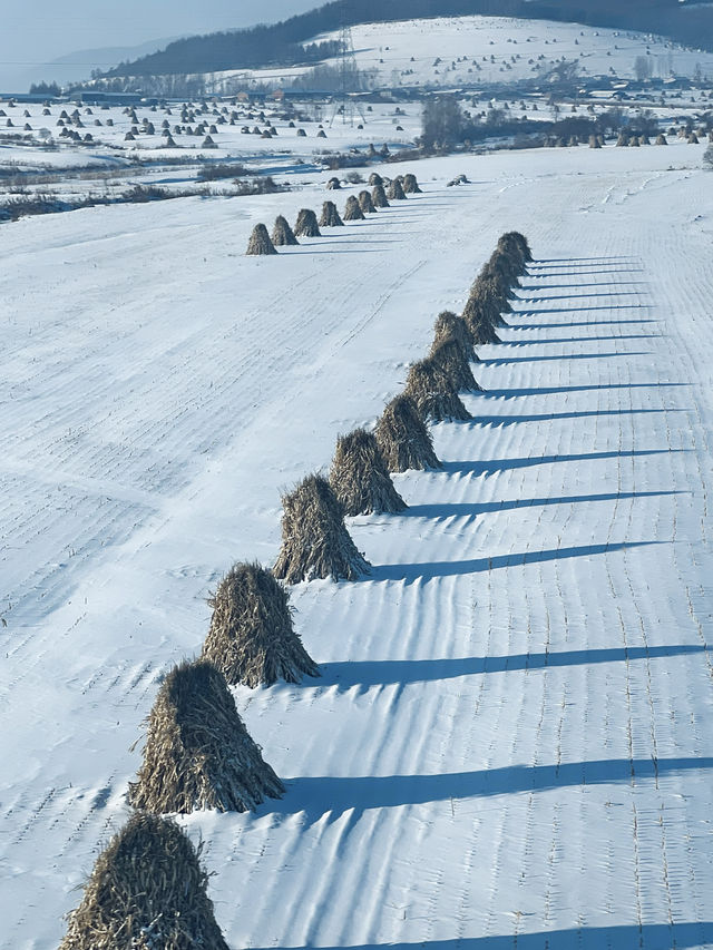 清晨沃雪東北大地