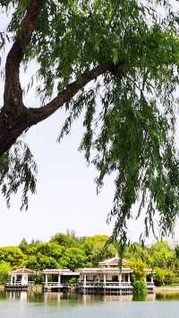 “滬東小西湖”——楊浦公園