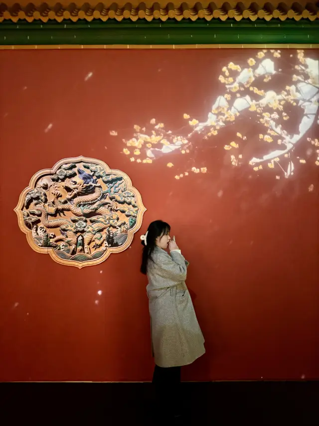 The Imperial Porcelain of the Forbidden City returns to its 'hometown' at the Jiangxi Provincial Museum for a major division