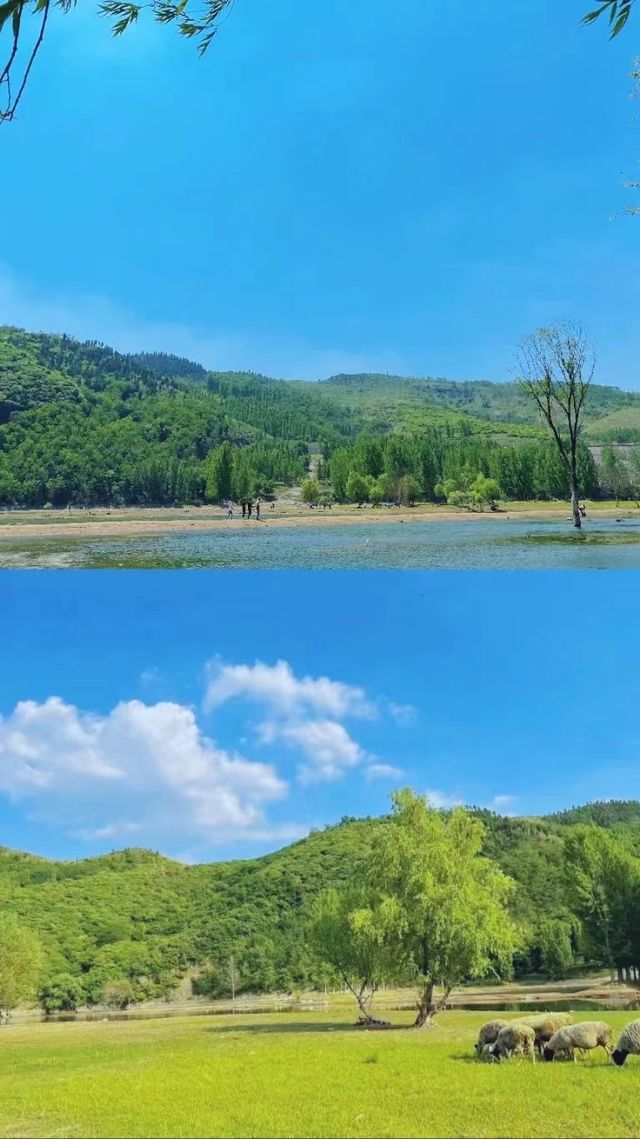 去什麼內蒙古，自家旁邊就有大草原