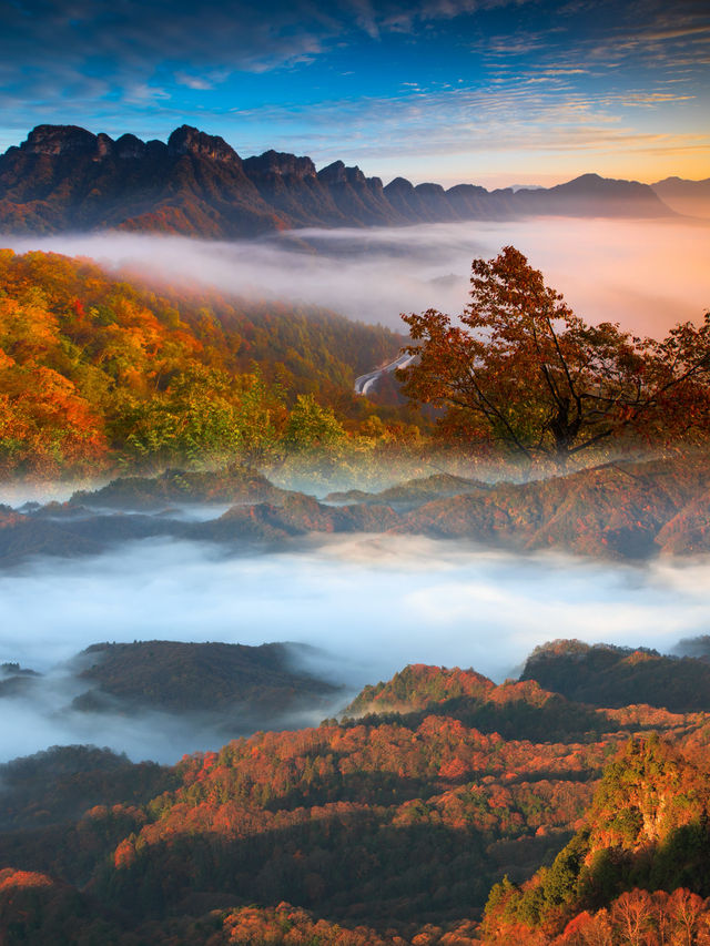 盡在巴中  俗話說：九寨看水，光霧看山