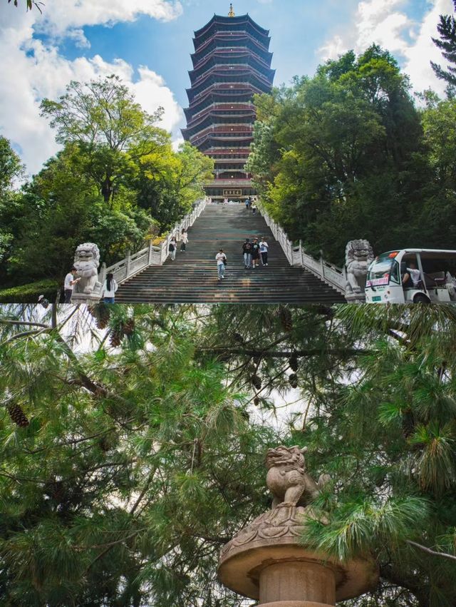 雲南曲靖，閒逛漫步感受生活悠然
