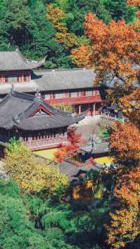 最美古鎮—真後悔才來