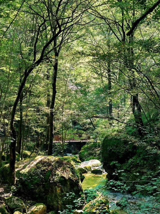 不如一起去徒山 | 牛背梁一日遊