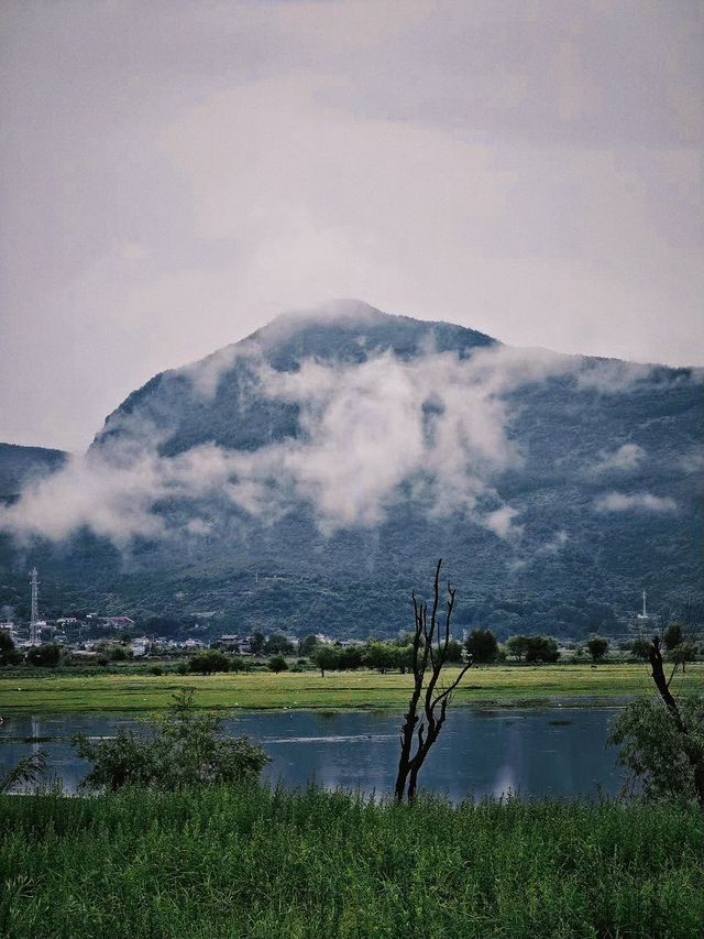 有一種叫雲南的生活，就是悠閒