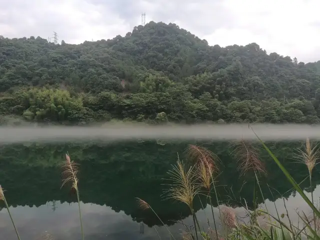 有霧看霧，無霧看水，小東江總能讓人驚喜