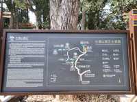 楚雄市牟定縣化佛山風景區