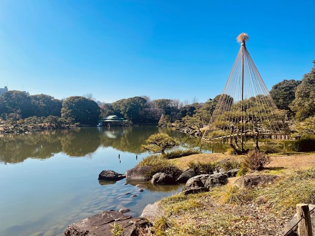 東京超小眾景點：經典日式庭園