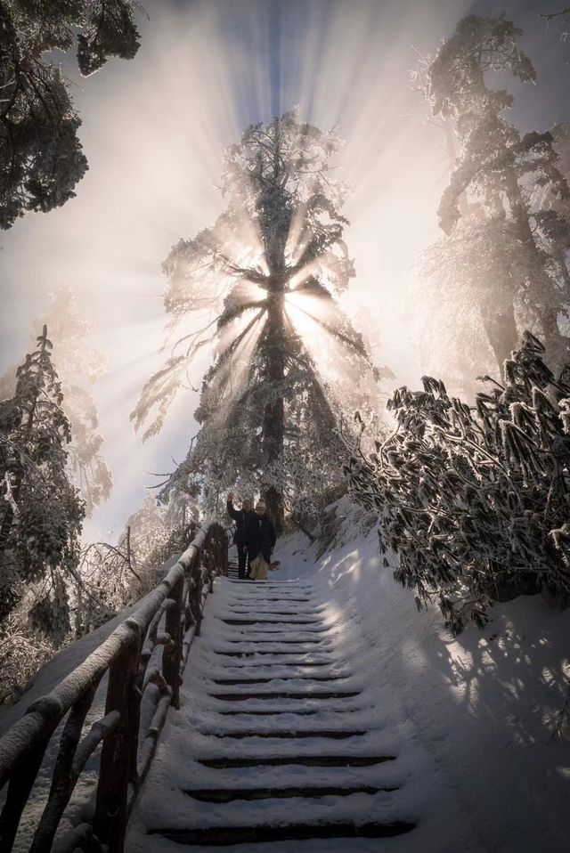 瓦屋山-值得打卡的寶藏景區