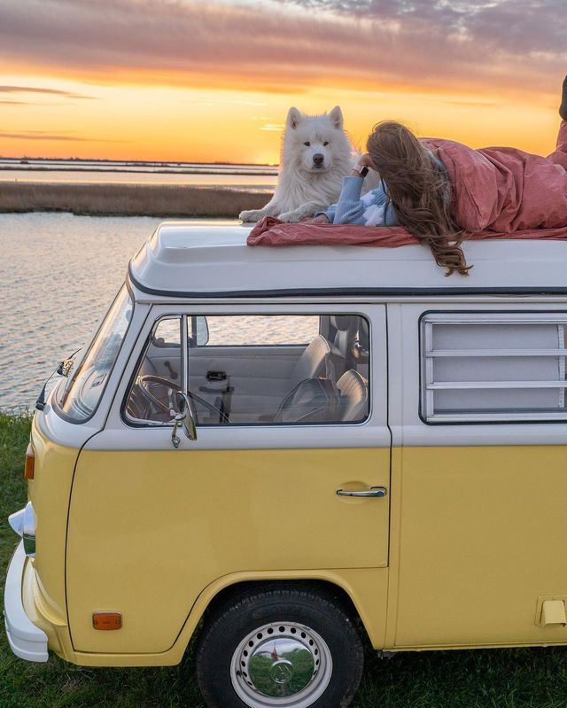 Felix & Daisy Explore the Perfect Easter Weekend Getaway! 🚐🏖️"