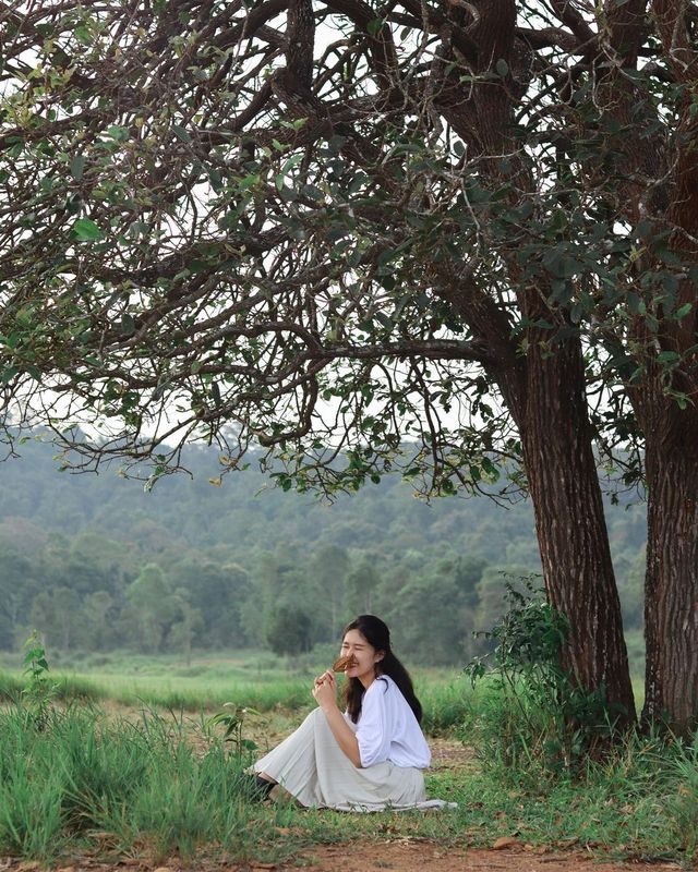 Nature is my happy place 🌳✨🫶🏻🌈