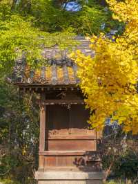 高松旅行善通寺