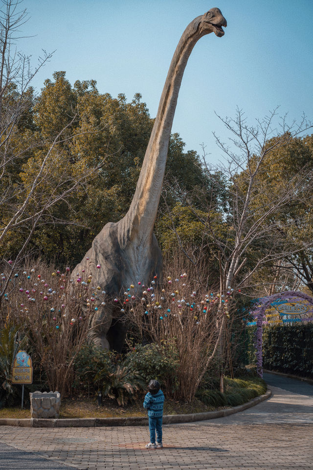 節假日別去自然博物館，顧村公園更香