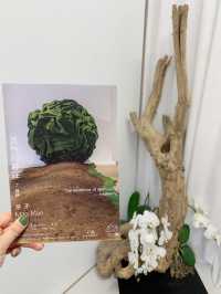 春季新展，靈性的存在