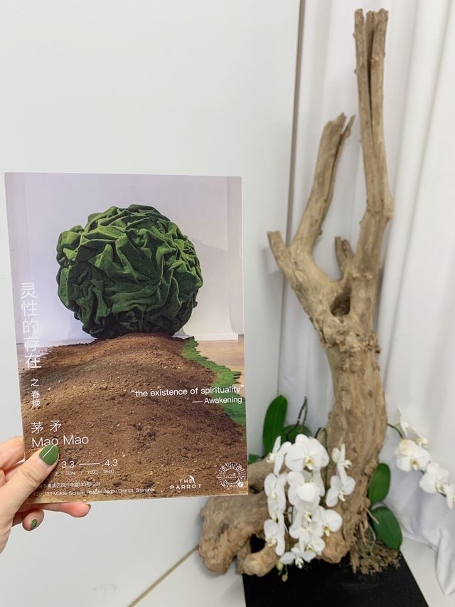 春季新展，靈性的存在