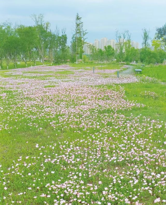 我好像拍到了宮崎駿漫畫裡的場景~