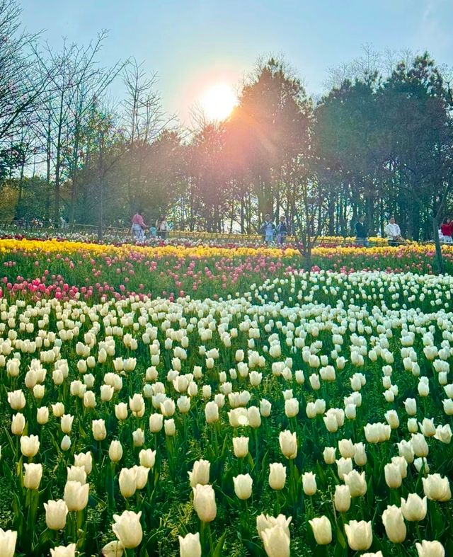 貴州龍架山國家森林公園