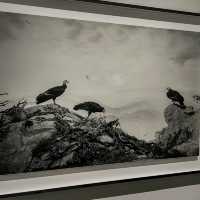 A Stunning Exhibition by Hiroshi Sugimoto