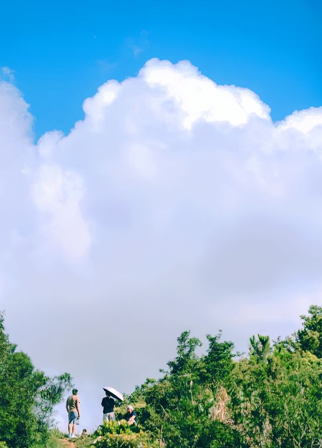 我在香港找到了一條通往大海的徒步秘境！