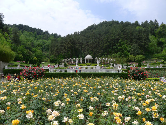 森林休閒勝地——貴陽登高雲山森林公園