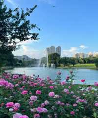 不在國外！在深圳香蜜湖公園也太浪漫了吧