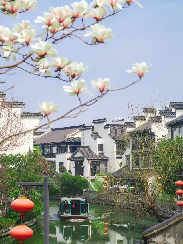 Come to Nanjing's Laomendong to experience a leisurely and slow-paced life