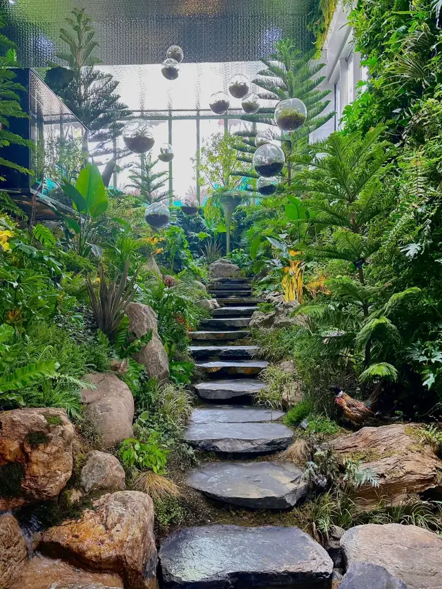 เวอร์ชั่นจริงของ The Wizard of Oz