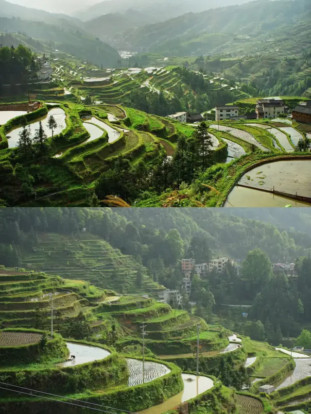 Tang'an Dong Village | Get the closest terraced field sunset to Zhaoxing Dong Village