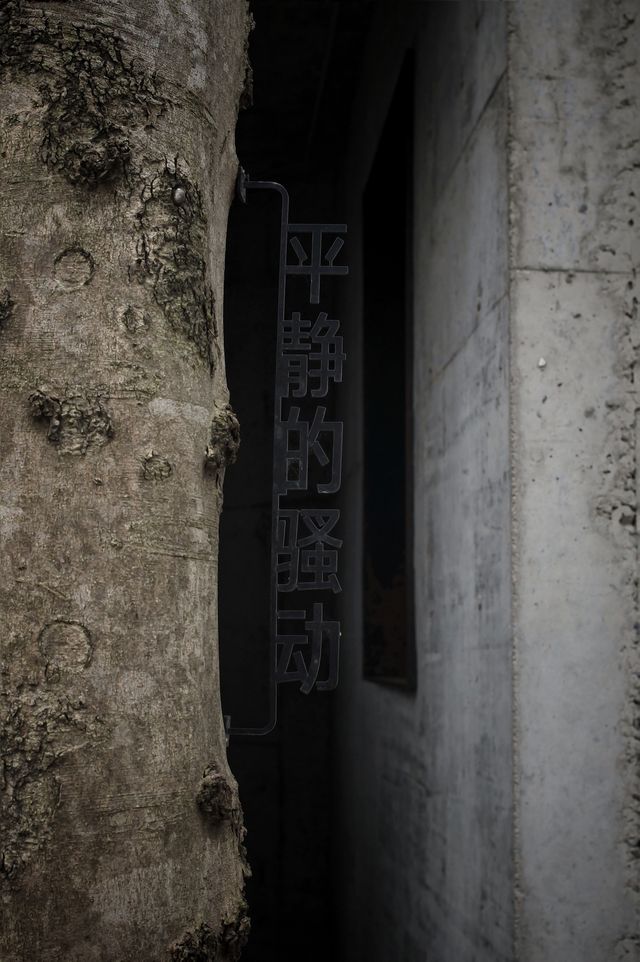 平靜的騷動