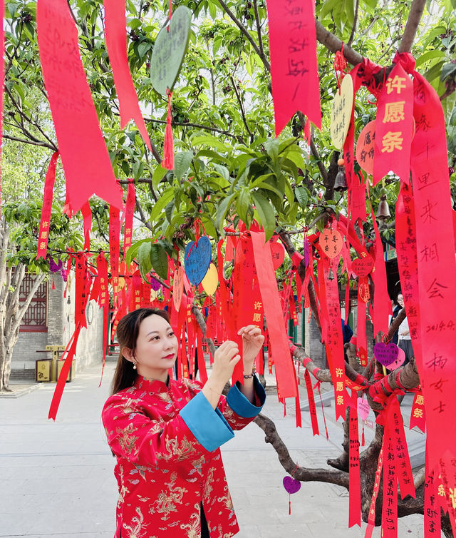 榮國府裡嘆紅樓（第二部）