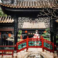 探秘寶墨園：感受中華文化的無盡魅力與熱情