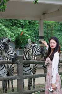 想當飼養員的第n天！！貴州森林野生動物園