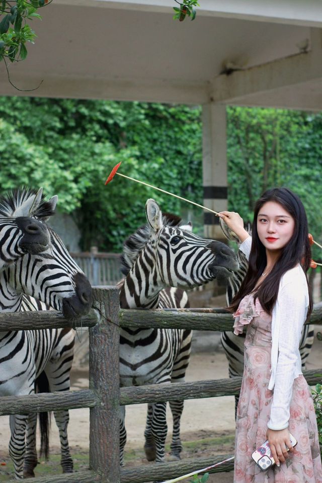 想當飼養員的第n天！！貴州森林野生動物園