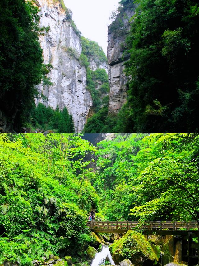 重慶仙女山