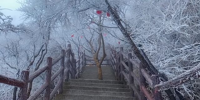 仙境欒川——賞雪滑雪遊玩攻略。