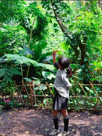 廈門親子1日遊這份路線就夠了～