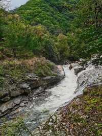 夢幻山水黃柏塬